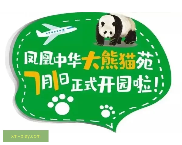 熊猫体育app下载与安装教程详解畅享赛事直播体验指南